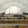 Livestock &amp; Agricultural Buildings - ClearSpan Truss Arch Livestock Housing
