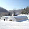 New Products - Sun Master&reg; 70% Opacity Over Wintering White Film