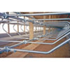 Livestock Management - Animal Stables &amp; Pens - Galvanized Dairy Equipment
