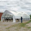 Livestock &amp; Agricultural Buildings - Tall Boy Moo-Tel Buildings