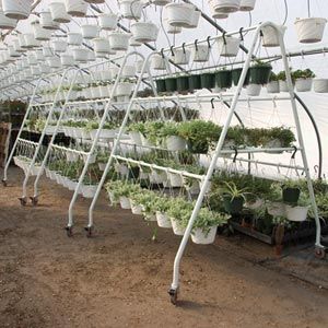 【新品】Hang out GRNT Plants Statnd 650&440 Amazon.com : Husqvarna 592866501 Lawn Tractor Bagger