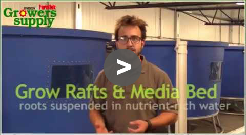 Stems & Scales - Commercial Aquaponic System - YouTube Video