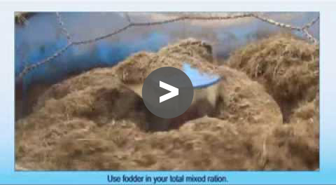 Fodder Tips - Feeding Fodder with a TMR Mixer - YouTube Video