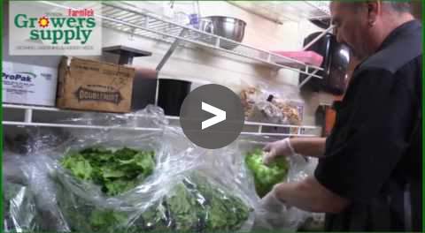 Customer Testimonial - Junction 21 - Fresh Produce - YouTube Video