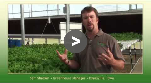 Greenhouse Tips: Locally Grown Lettuce
From the Greenhouse to the Table - YouTube Video