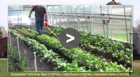 Netafim™ Field Drip Irrigation - YouTube Video