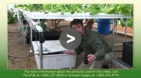 Greenhouse Tips: NFT Hydroponic Table Pump Maintenance - YouTube Video