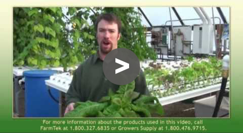 Greenhouse Tips: Operating NFT Hydroponic Table - YouTube Video