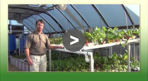 Aquaponic Tips - Optimize Space - YouTube Video