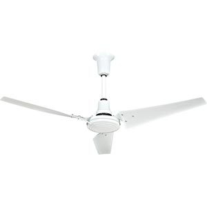 Heavy-Duty Indoor/Outdoor Ceiling Fan - 60" - On Sale