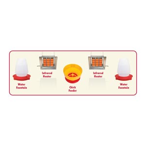 Baby Chick Feeder Teksupply