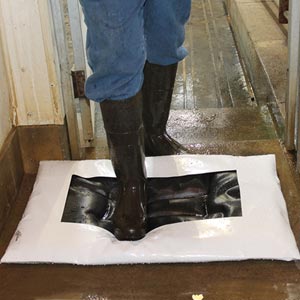 Flooring Building Flooring Garage Flooring Paver Blocks Stall