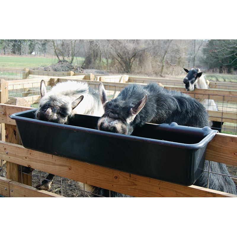 52 Quart HookOver Feed Trough On Sale TekSupply