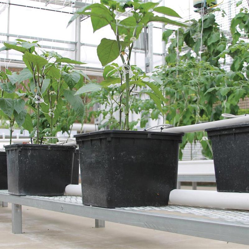 Dutch Bucket Low Profile Bench 19"W x 7"H x 72"L TekSupply