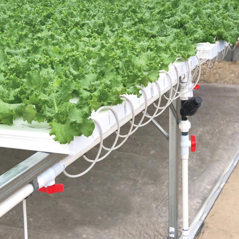 HydroCycle 4" Commercial NFT Lettuce System 30'W x 48'L TekSupply
