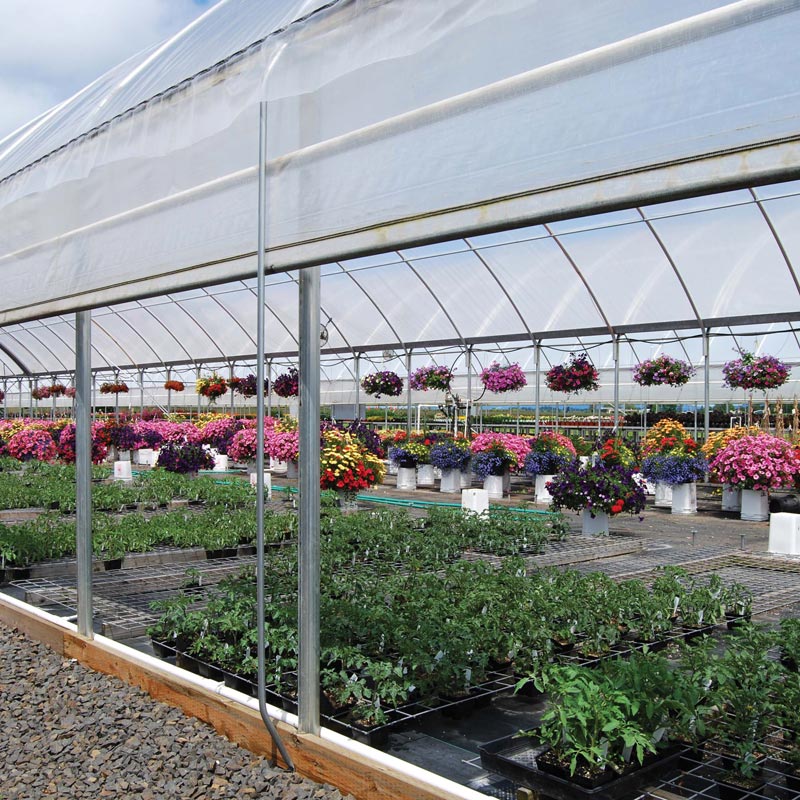 GrowSpan Series 1000 Commercial Greenhouse 30'W x 96'L w/Ground Posts