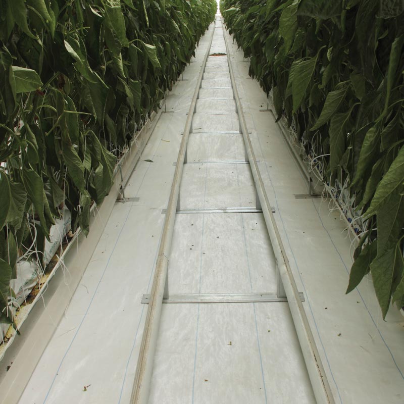 Svensson White Lined Ground Cover 6.5'W x 100'L On Sale TekSupply